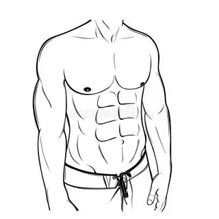 Muscular Six Pack Male Body Line Art Illustration Stock Vect