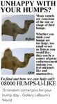 UNHAPPY WITH YOUR HUMPS? Many Camels Are Conscious of the Si