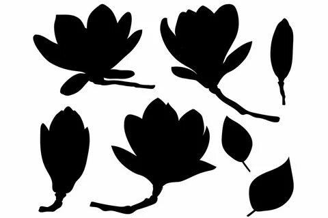 Magnolia Silhouettes Vector Illustration SVG File