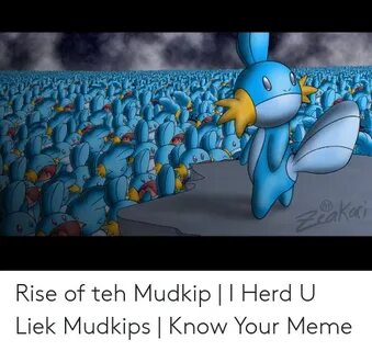✅ 25+ Best Memes About Teh Mudkip Teh Mudkip Memes