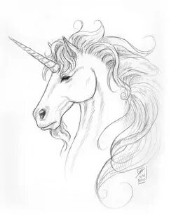 Unicorn Portrait Drawing by Brandy Woods Fine Art America