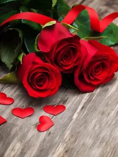 Картинки День всех влюблённых Сердце роза Красный цветок 204