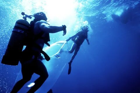 Navy divers from the Atlantic Fleet Audiovisual Command coll