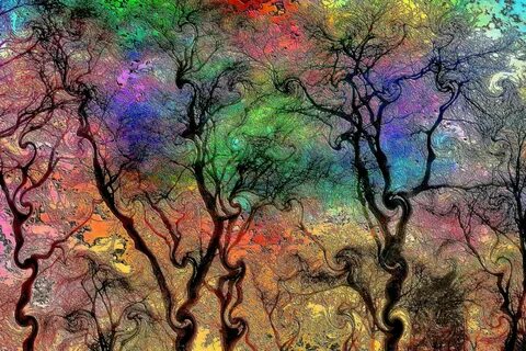 Mystical Nature Nature art, Tree art, Nature