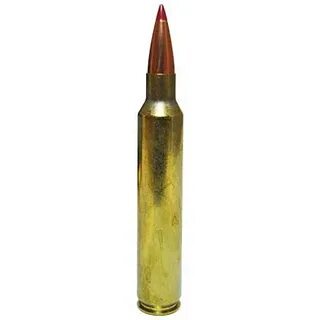 300 Remington Ultra Mag (RUM) 220 Grain ELD-X Precision Hunt