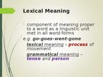 English lexicology - презентация, доклад, проект
