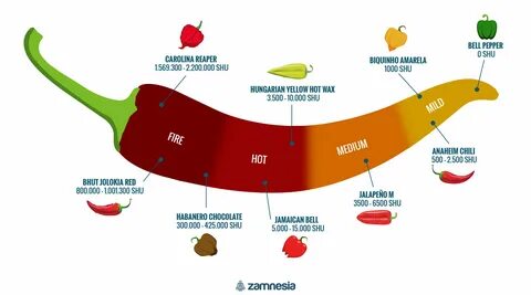 Hot Peppers And The Scoville Scale - Zamnesia UK