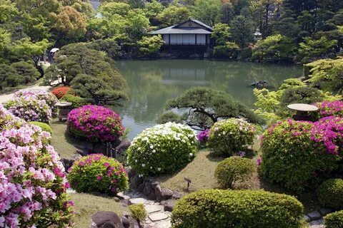 Тихое озеро в японском саду - обои на телефон.