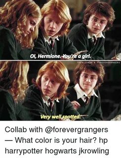 ✅ 25+ Best Memes About Hermione Hermione Memes