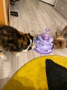 Фото из отзыва пользователя