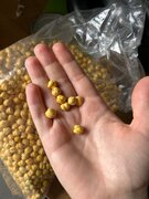 Фото из отзыва пользователя