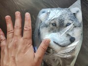 Фото из отзыва пользователя