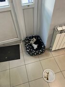 Фото из отзыва пользователя
