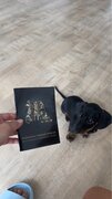 Фото из отзыва пользователя