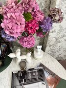 Фото из отзыва пользователя