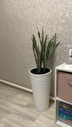 Фото из отзыва пользователя