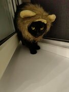 Фото из отзыва пользователя