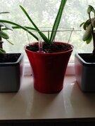 Фото из отзыва пользователя