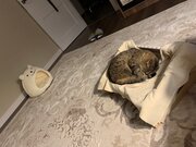 Фото из отзыва пользователя