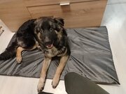 Фото из отзыва пользователя