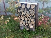 Фото из отзыва пользователя