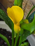Фото из отзыва пользователя