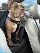 Фото из отзыва пользователя