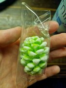 Фото из отзыва пользователя
