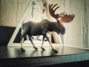 Фото из отзыва пользователя