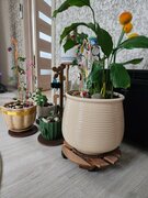 Фото из отзыва пользователя