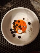 Фото из отзыва пользователя