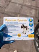 Фото из отзыва пользователя