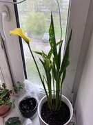 Фото из отзыва пользователя