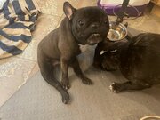 Фото из отзыва пользователя
