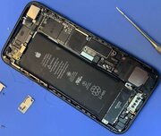 Фото из отзыва пользователя