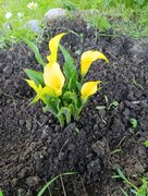 Фото из отзыва пользователя