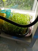 Фото из отзыва пользователя