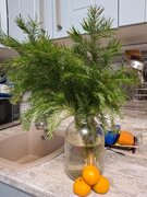 Фото из отзыва пользователя