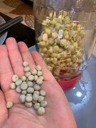 Фото из отзыва пользователя
