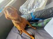 Фото из отзыва пользователя