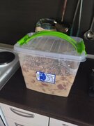 Фото из отзыва пользователя