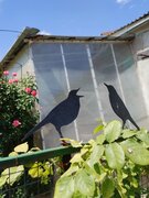 Фото из отзыва пользователя