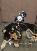 Фото из отзыва пользователя