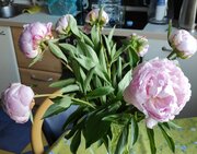 Фото из отзыва пользователя