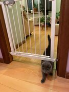 Фото из отзыва пользователя