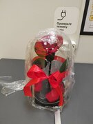 Фото из отзыва пользователя