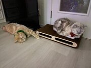 Фото из отзыва пользователя