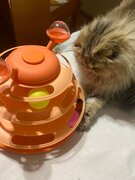 Фото из отзыва пользователя