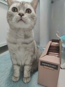 Фото из отзыва пользователя