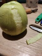 Фото из отзыва пользователя